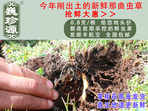 rxĲ շb 0.8/r(ji)80Ԫ/