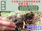 rxĲ շb 1/r(ji)100Ԫ/