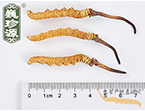 xĲ2l/ ^ڲ x؛r(ji)350Ԫ/